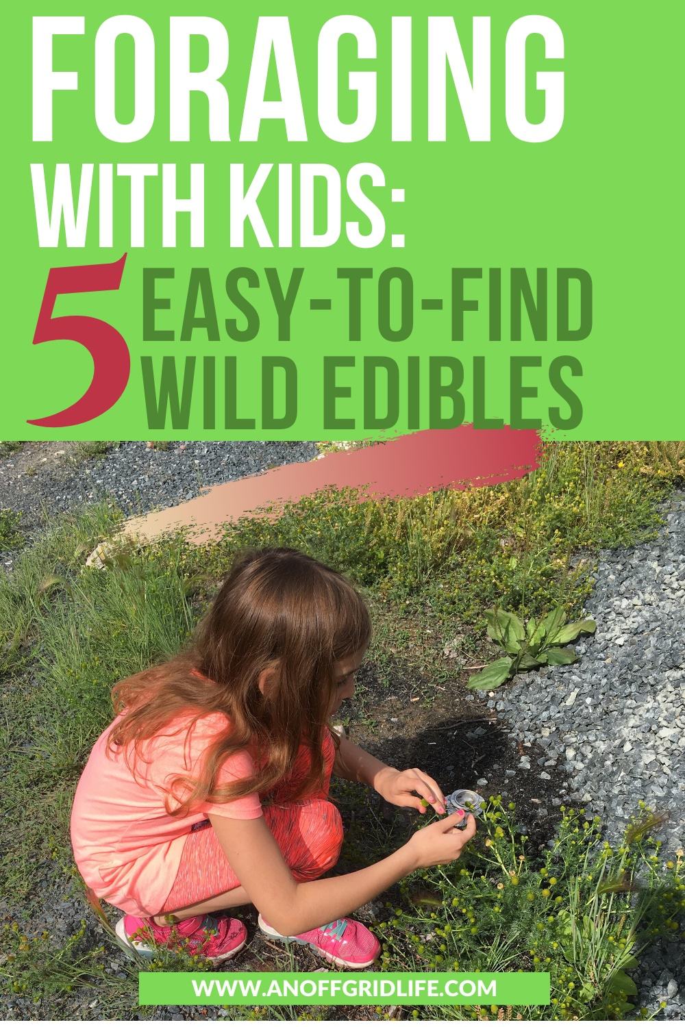 Young girl picking chamomile outdoors