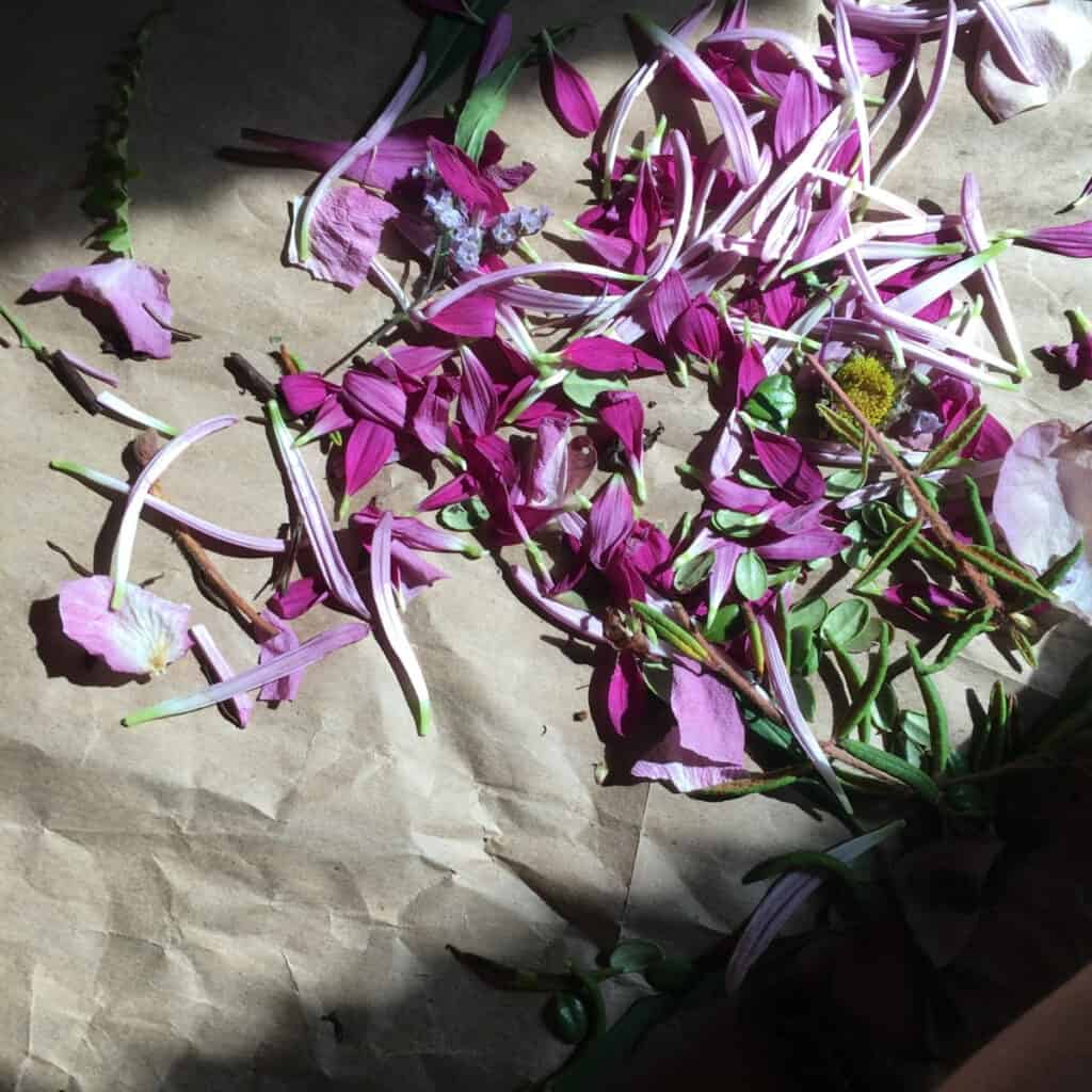 Wild petals on brown paper.