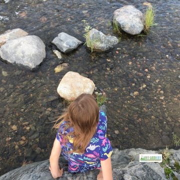 Young girl by clear water with rocks dipping her toes before writing in her nature journal