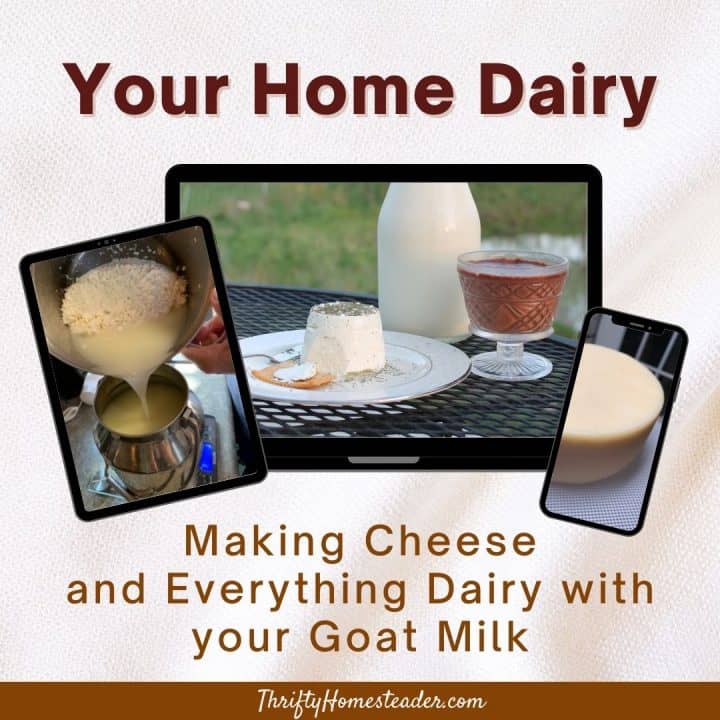 Your Home Dairy: Making Cheese and Everything Dairy with your Goat Milk