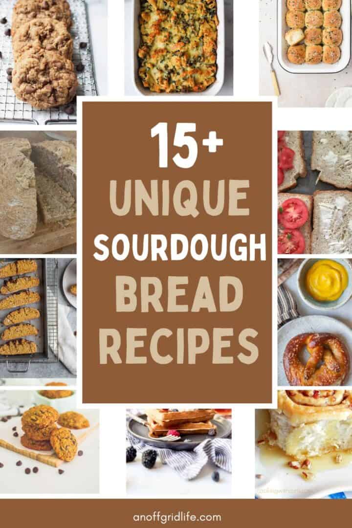 15+ Unique Sourdough Bread Recipes