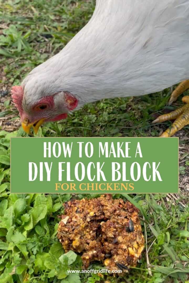 How to Make a DIY Flock Block for Chickens