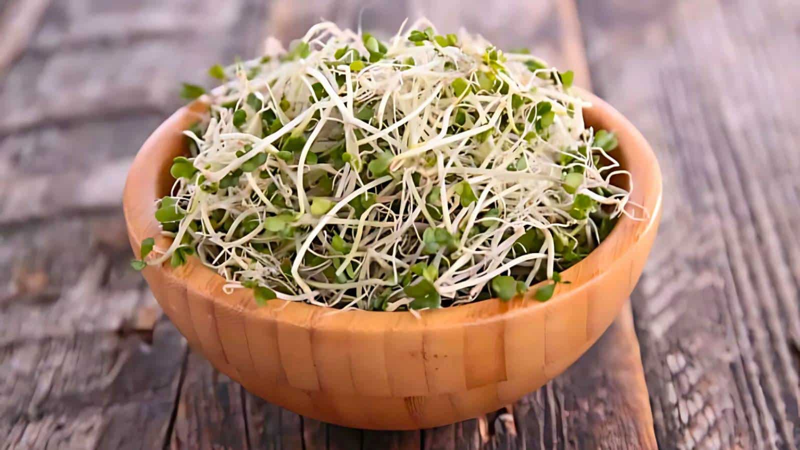 A wooden bowl filled with fresh alfalfa sprouts sits on a rustic wooden surface.