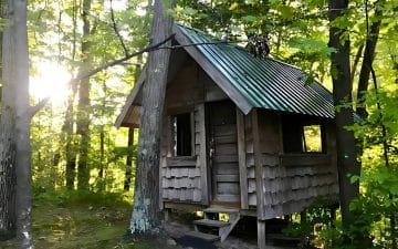 A small wooden cabin with a triangular roof is nestled among trees in a forest. Sunlight filters through the leaves.