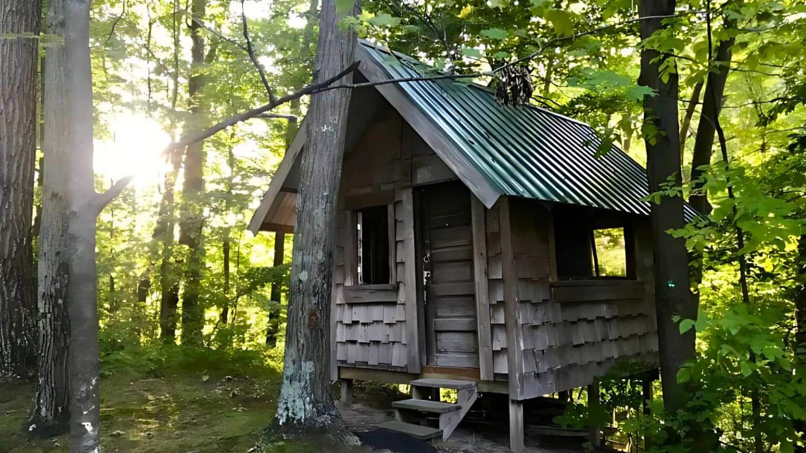 A small wooden cabin with a triangular roof is nestled among trees in a forest. Sunlight filters through the leaves.