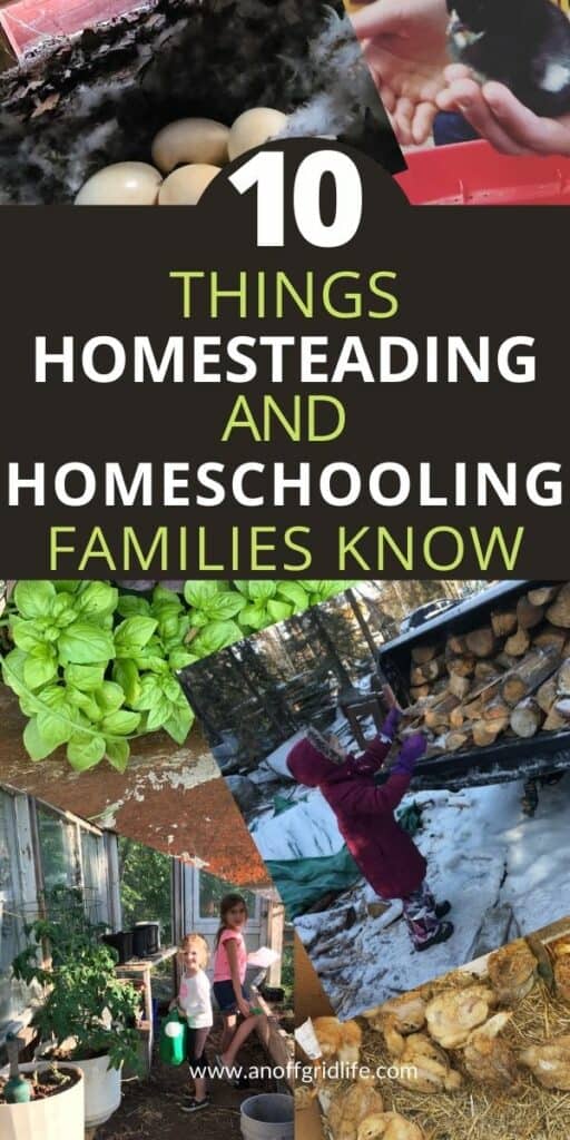 10 things homeschooling and homesteading families know text overlay on collage of photos of children stacking wood, working in a greenhouse, duck eggs and holding chicks