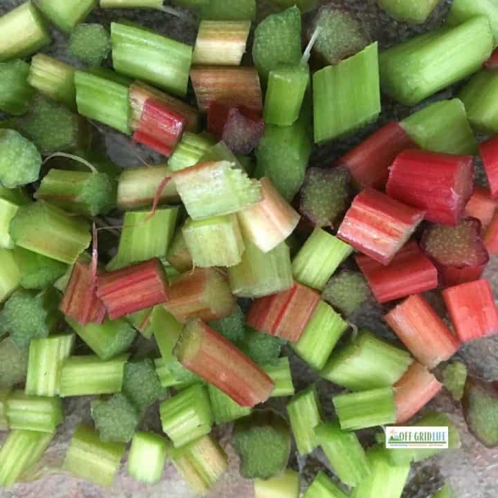 Chopped Fresh Rhubarb Stalks