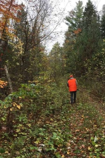 a man wearing blaze orange walking in the woods