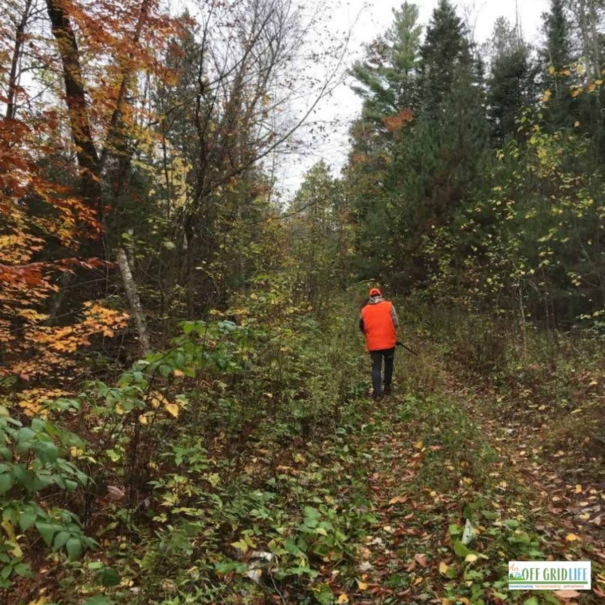 a man wearing blaze orange walking in the woods