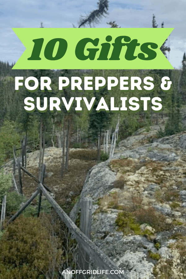 a rocky, northern forest with grey skies and text overlay "10 gifts for preppers & survivalists"