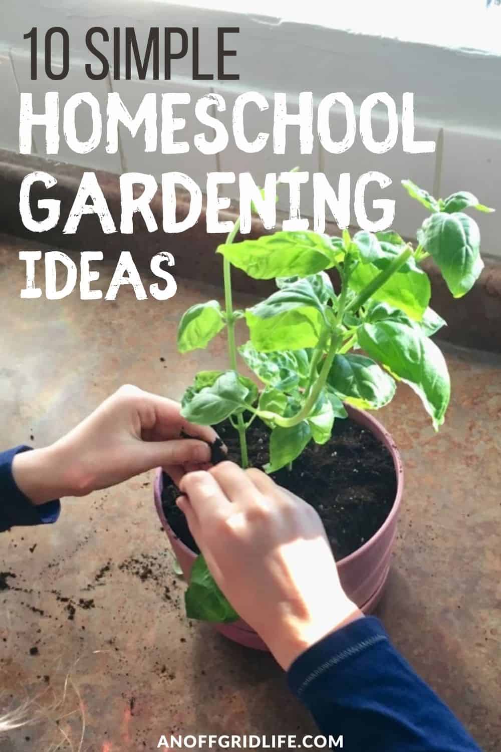 a pinterest image of a child planting a basil plant in a brown pot, text overlay "10 simple homeschool gardening ideas"