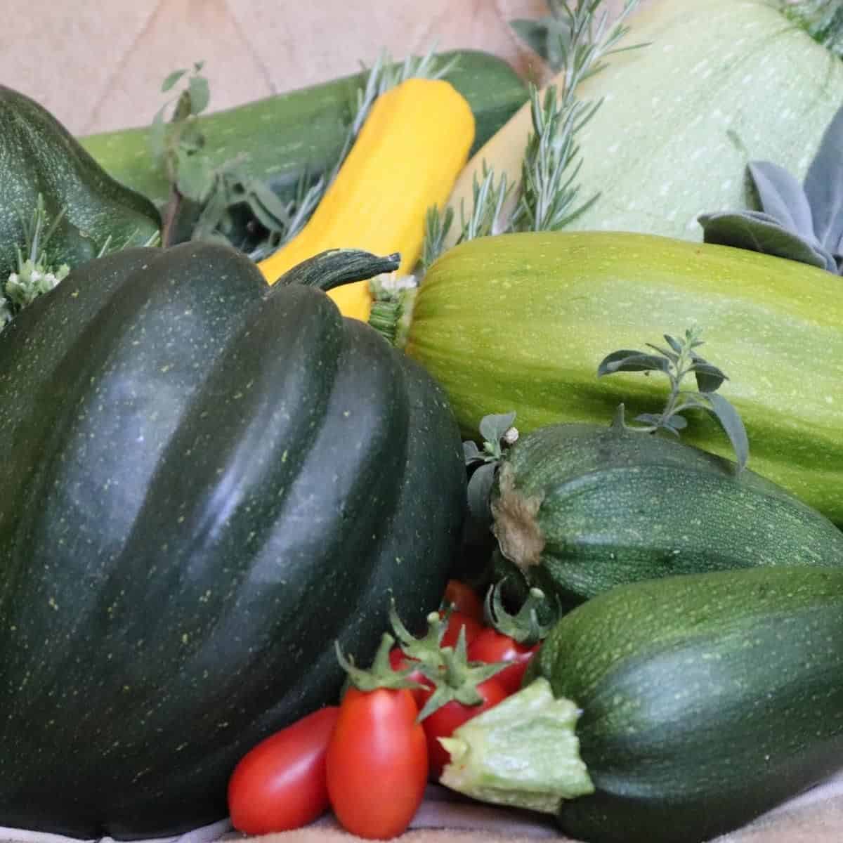 various ways to prepare squashes sitting on a table