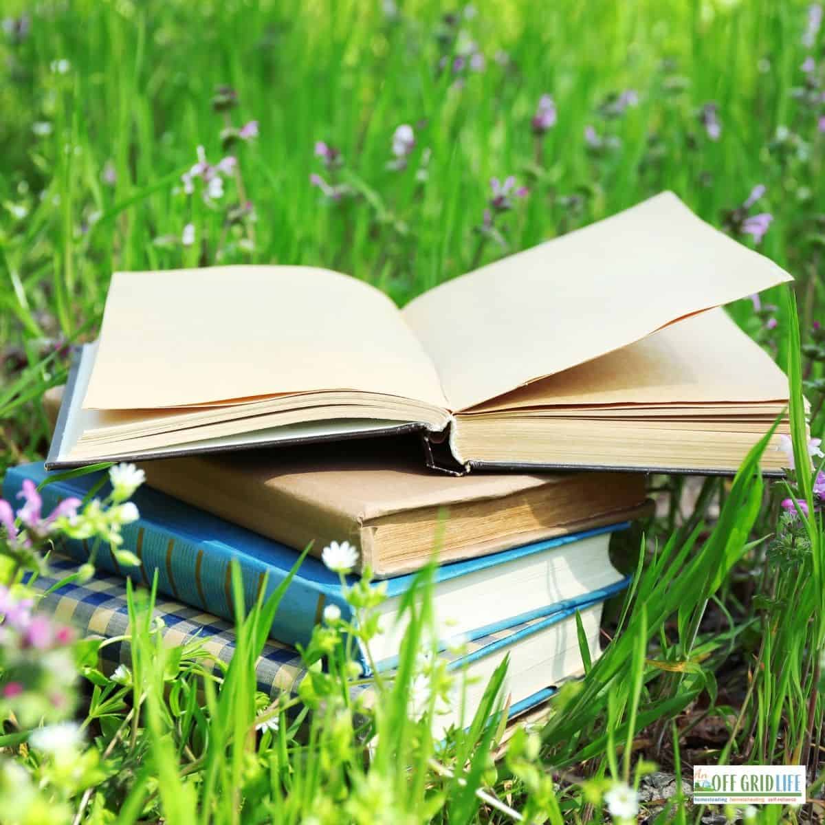 a stack of kids books outdoors in a green grassy area