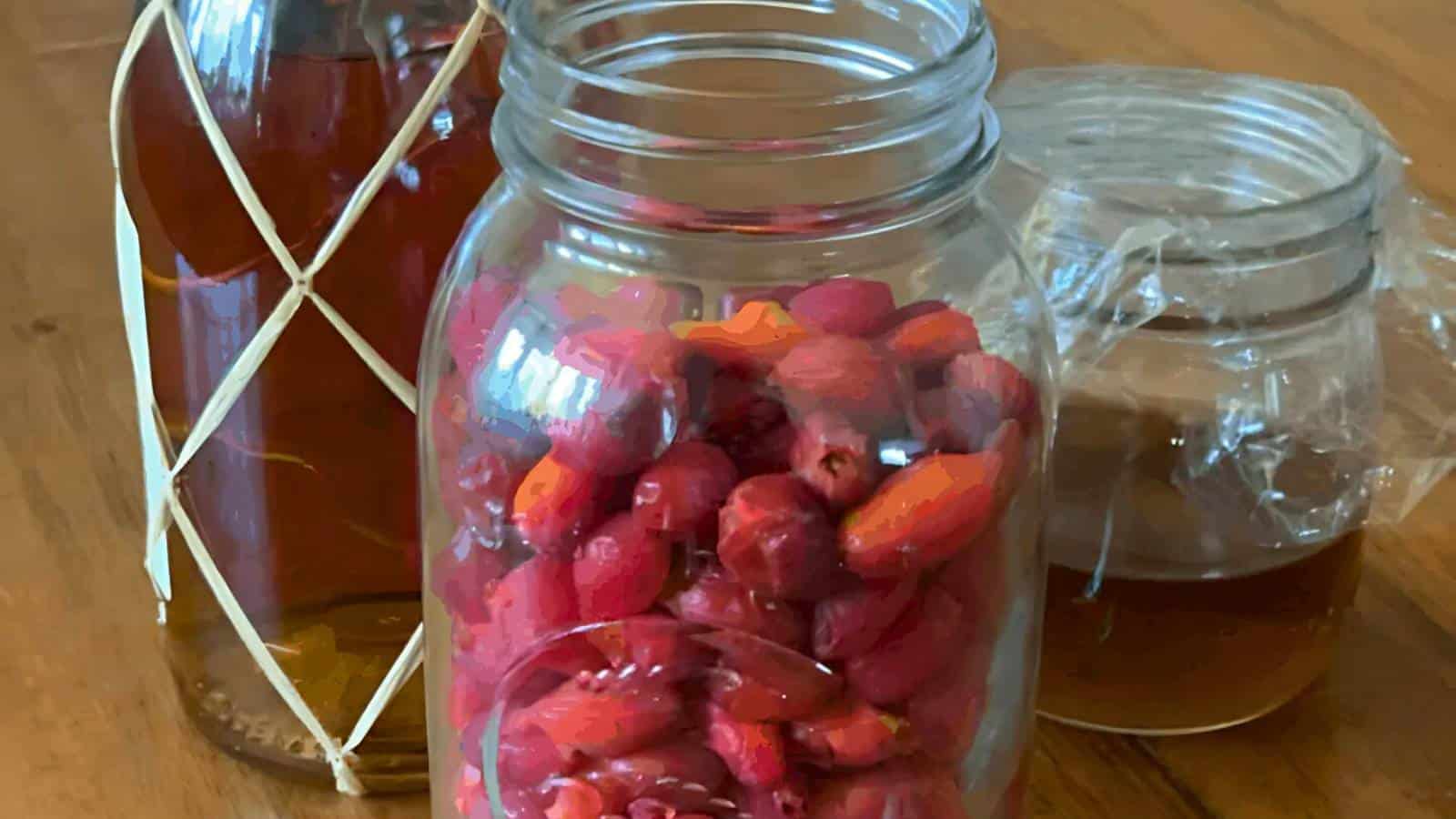 Three jars on a table: one with liquid and twine, another with red berries, and a third with a brown liquid sealed with plastic wrap.