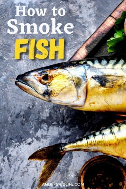 two smoked fish on a platter with text overlay "how to smoke fish"