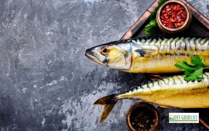 a picture of two smoked fish on a platter with a grey background