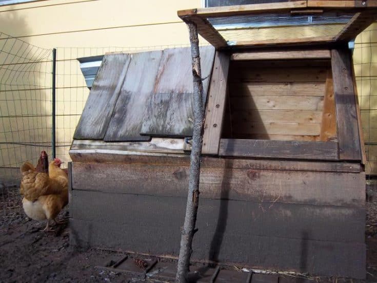 A wooden DIY chicken coop with an open hatch and a stick ramp is shown, with two brown chickens standing outside near a wire fence.