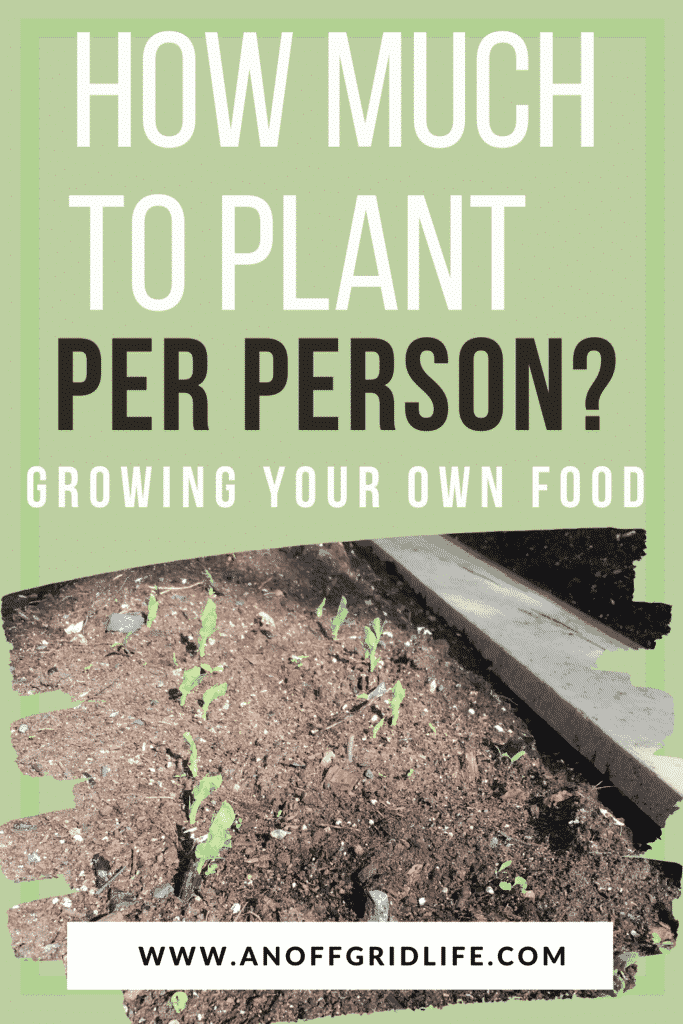 Text overlay How Much to Plant Per Person? Growing Your Own Food