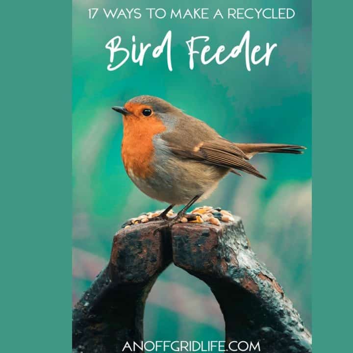 17 ways to make a recycled bird feeder