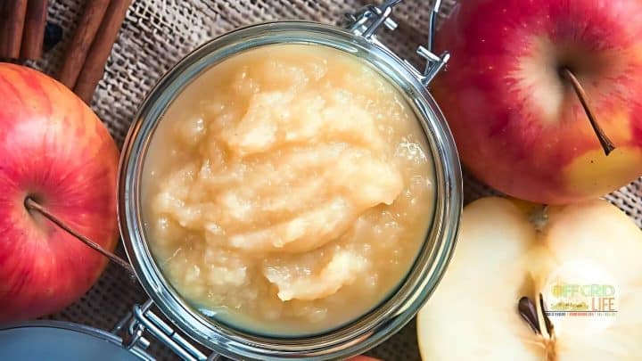 Jar of applesauce surrounded by whole and sliced apples, with cinnamon sticks nearby.