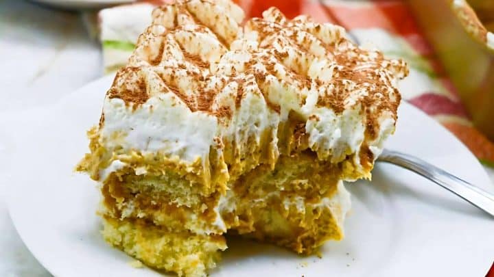 A slice of cake with layers of sponge and cream is placed on a white plate, dusted with cocoa powder. A fork is laying beside the slice.