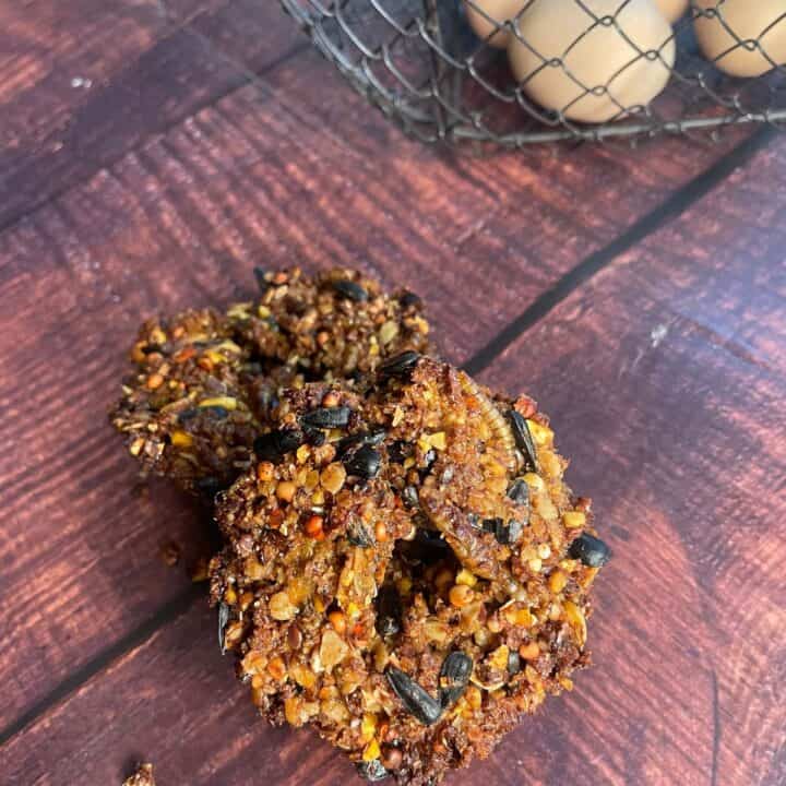 Homemade Flock Block for Chickens.