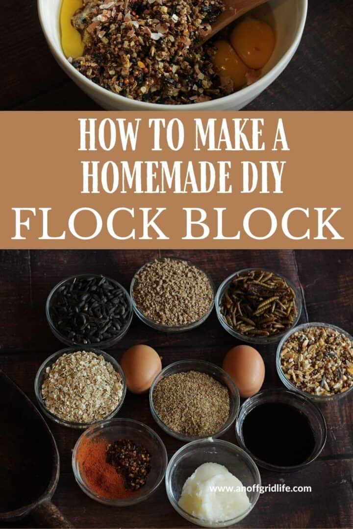 Recipe for a DIY Flock Block for Chickens