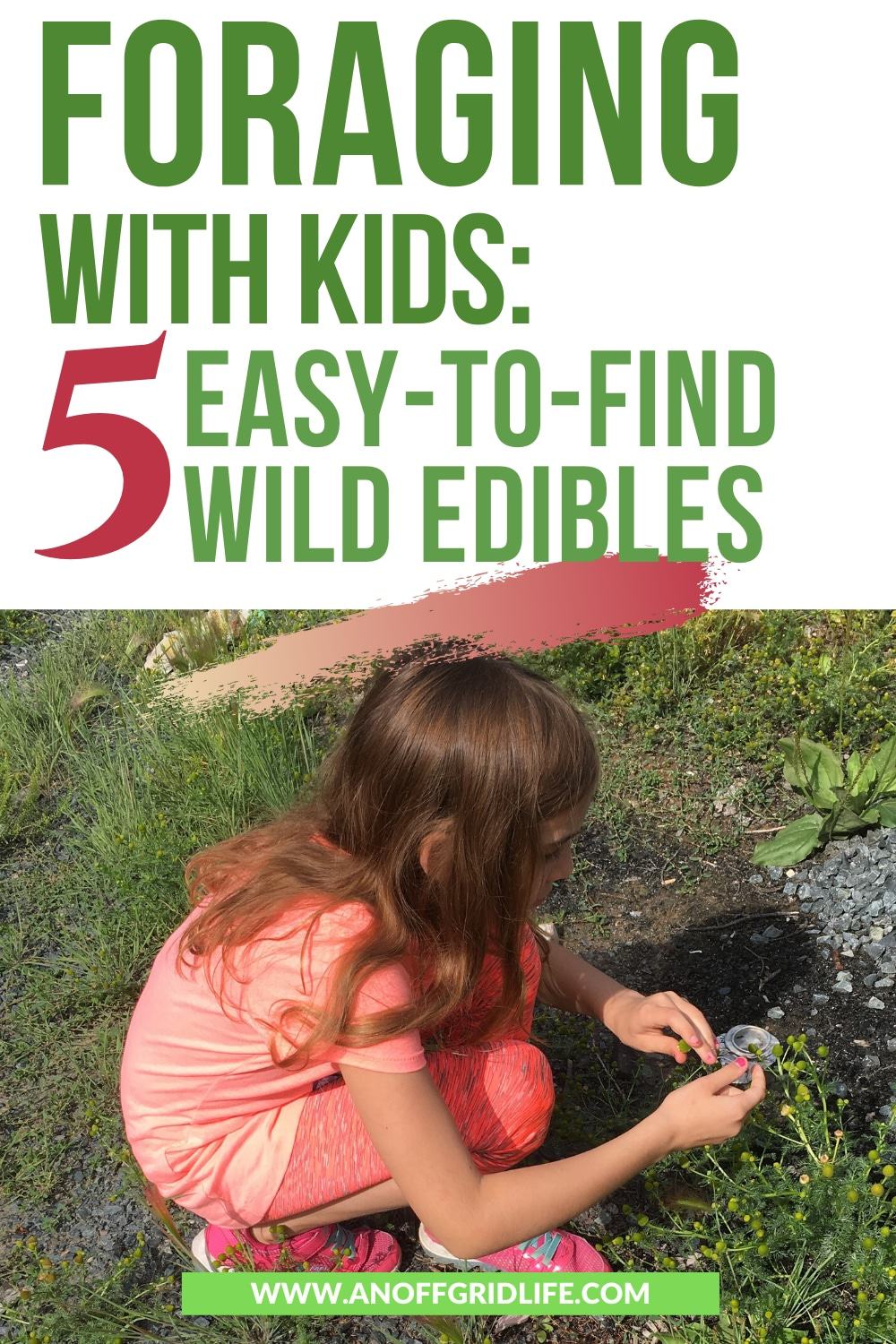 Young girl picking chamomile outdoors