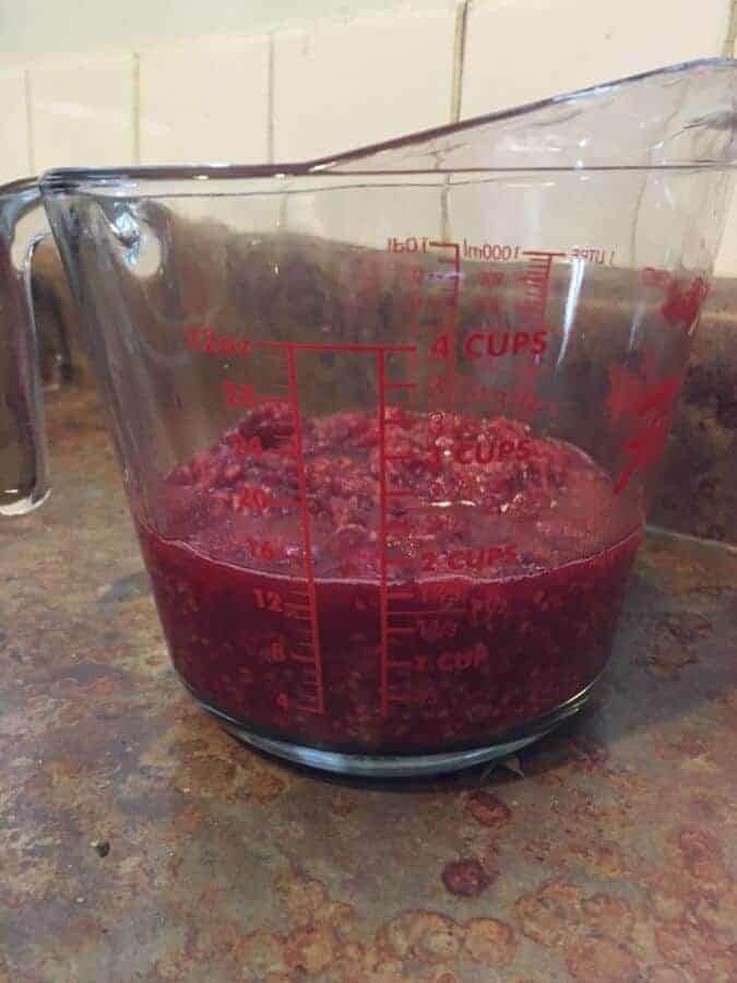 crushed everbearing raspberries