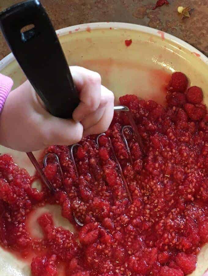 Learning how to make no cook jam with everbearing raspberries.