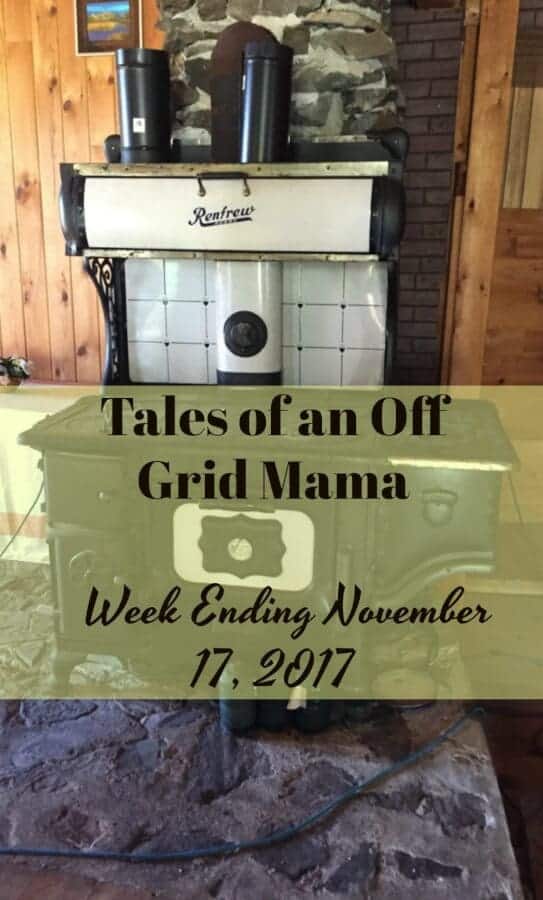tales of an off grid mama