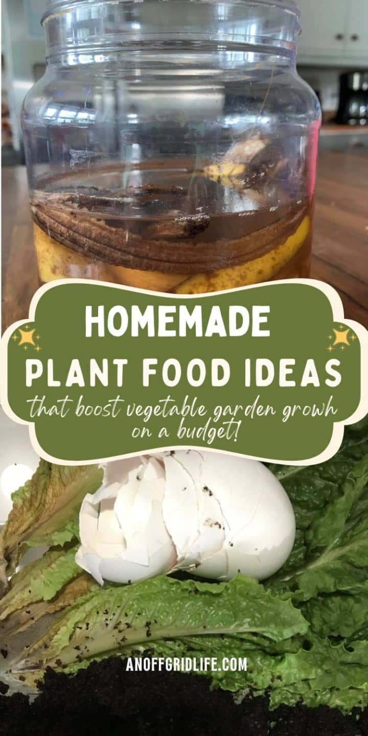 A glass jar with banana peels in liquid sits on a counter; below, eggshells rest on lettuce leaves. Text reads, "Homemade plant food ideas that boost vegetable garden growth on a budget.
