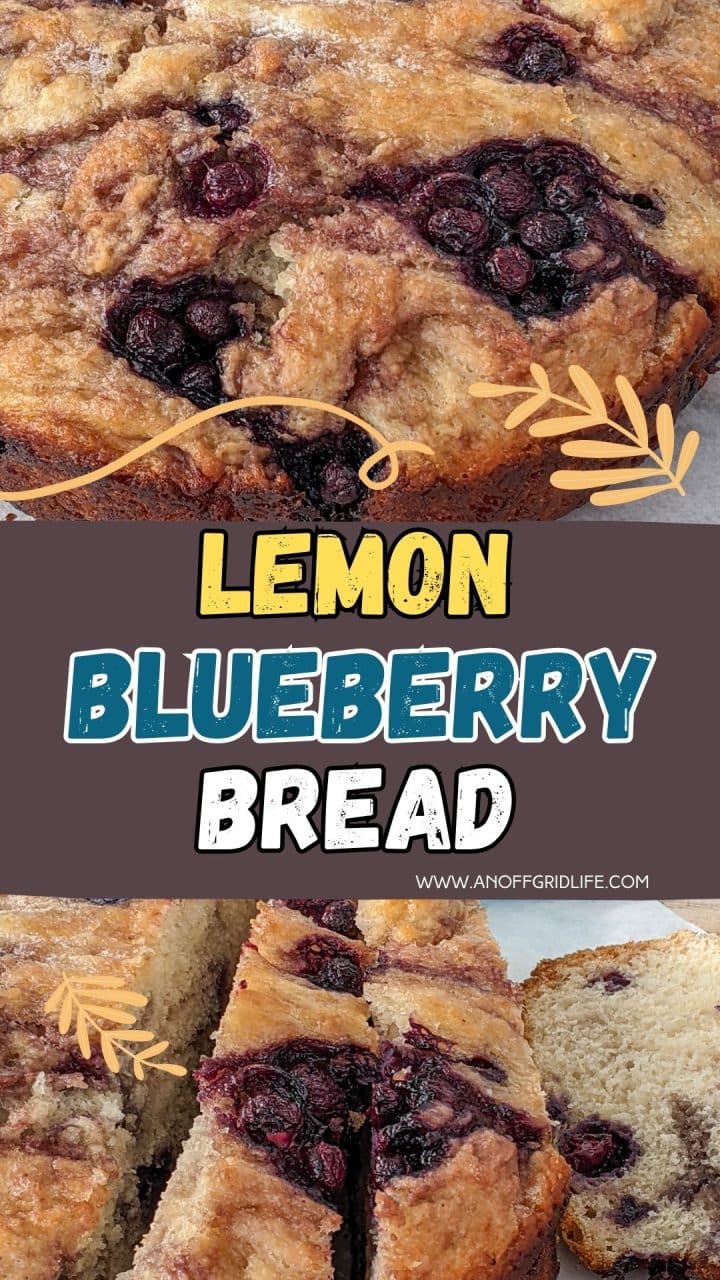 Two close-up photos of sliced lemon blueberry bread with a golden crust and visible whole blueberries, separated by a text banner reading "LEMON BLUEBERRY BREAD.