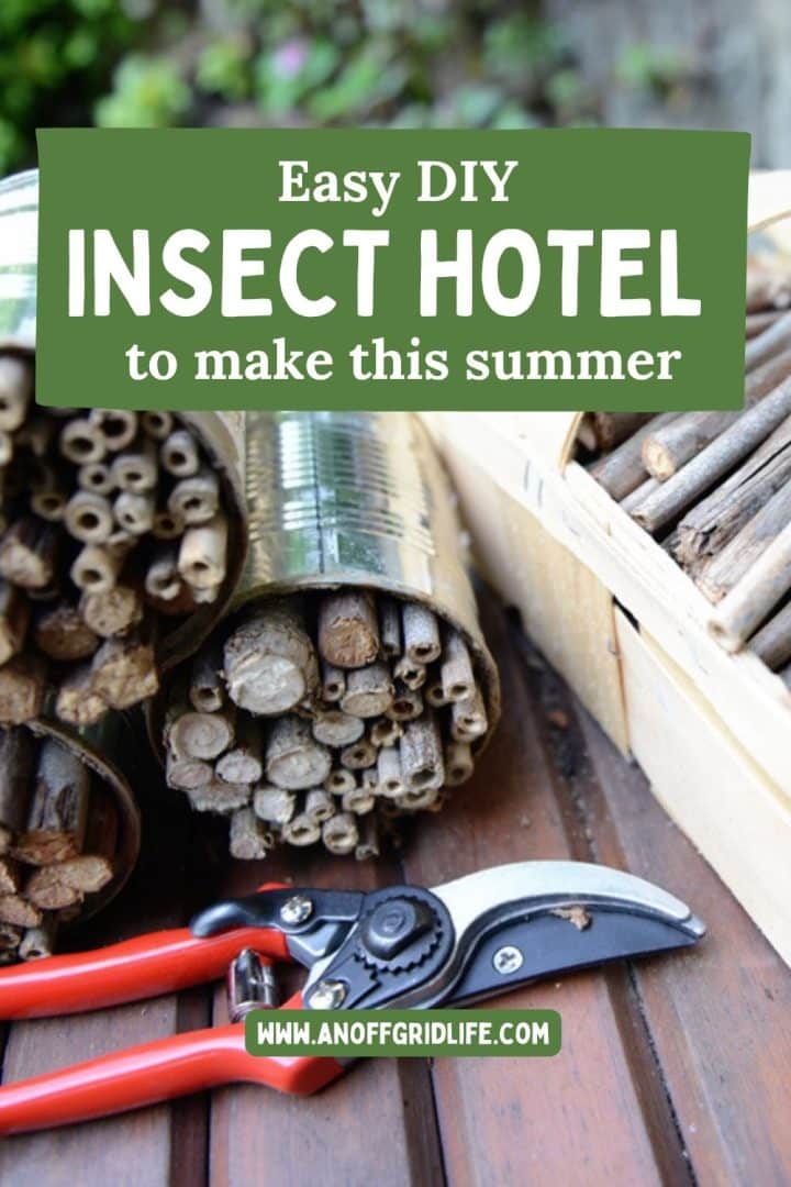 Close-up of homemade insect hotels made from bamboo and tin cans, with pruning shears and a tray of twigs on a table. Text overlay: "Easy DIY Insect Hotel to make this summer.