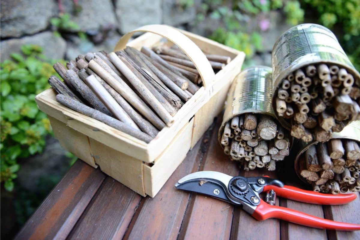 A wooden basket of sticks, two tin cans filled with hollow bamboo tubes, and garden shears on a wooden table outdoors.