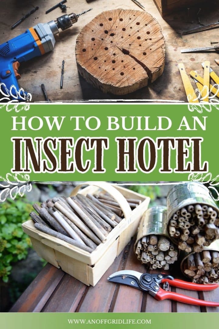 Step-by-step guide to building an insect hotel with tools, wooden block, bamboo, sticks, and garden pruners shown in the images.