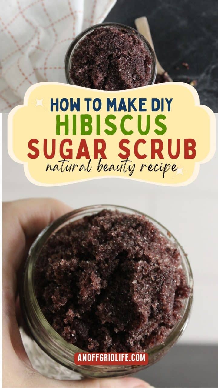 A hand holds a jar of dark purple hibiscus sugar scrub; an overlaid label reads "How to make DIY hibiscus sugar scrub natural beauty recipe.