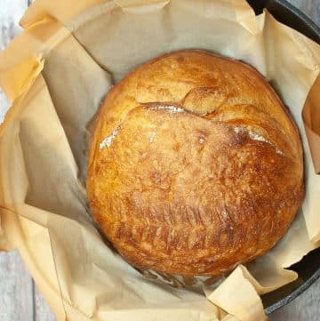 A round loaf of golden Dutch oven sourdough brown bread sits on parchment paper inside a black cast iron pot.