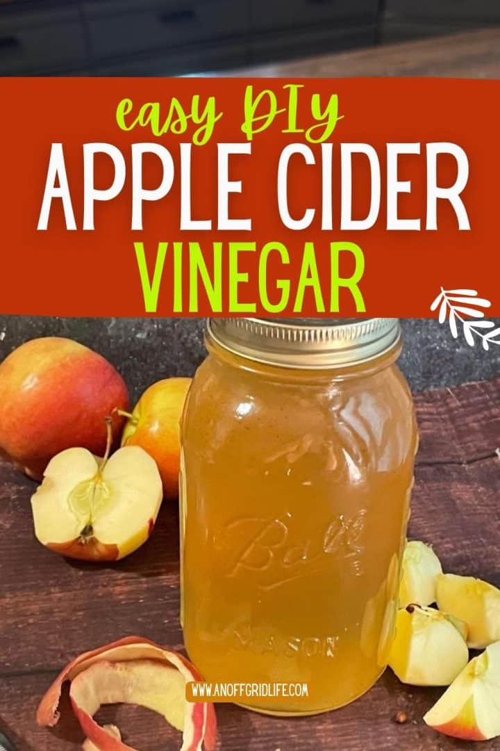 A mason jar filled with apple cider vinegar sits on a wooden surface surrounded by whole and sliced apples with peels.
