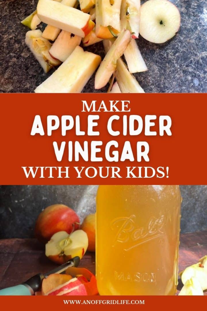 Chopped apples on a counter, text reading "Make Apple Cider Vinegar With Your Kids!", and a jar of apple cider vinegar next to sliced apples.