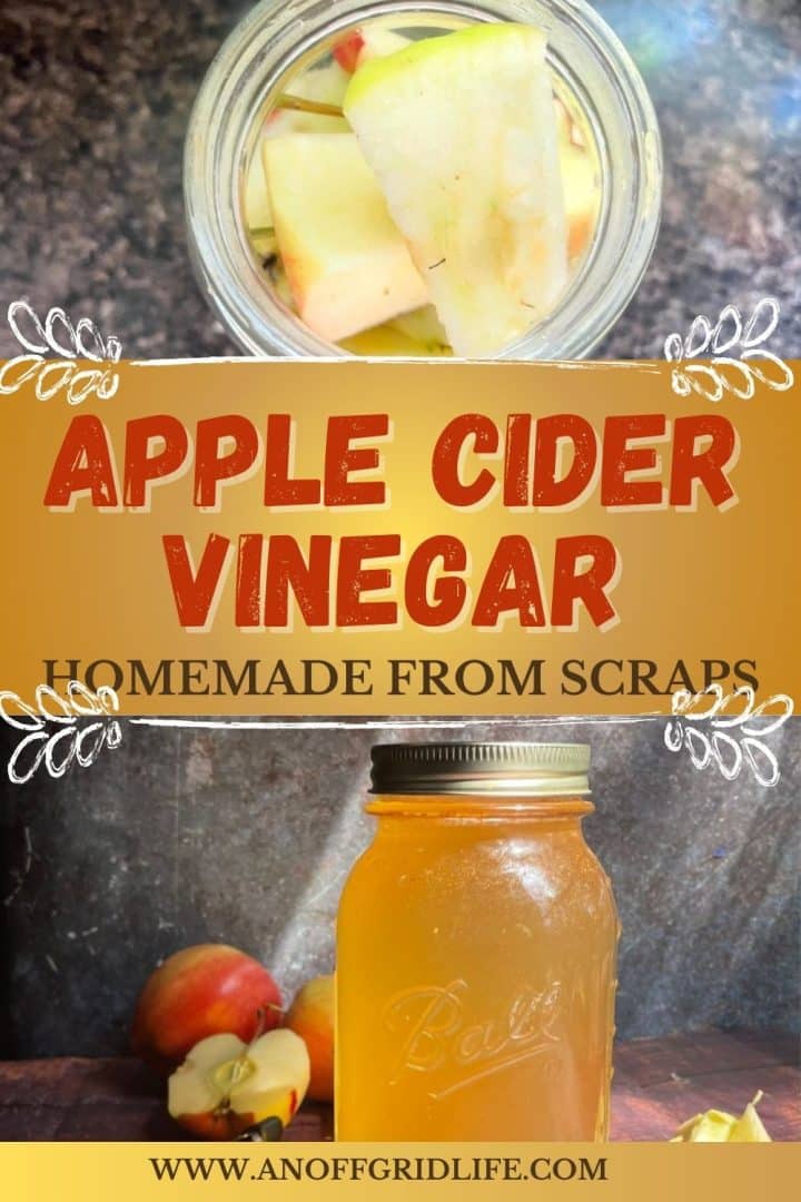 A jar of apple slices, a sign reading "Apple Cider Vinegar Homemade from Scraps," and a mason jar of apple cider vinegar with apples in the background.