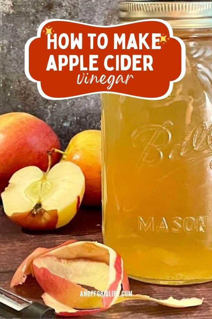 A mason jar of apple cider vinegar sits next to whole apples, a halved apple, and apple peels on a wooden surface.