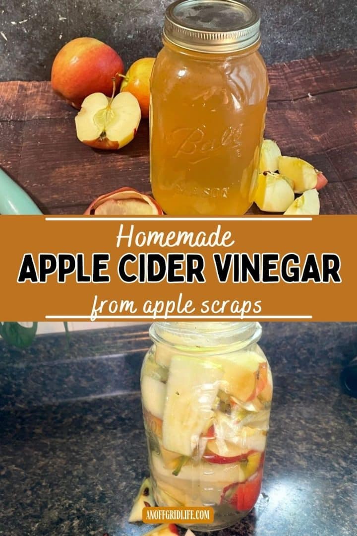 A glass jar of apple cider vinegar and apple scraps on a wooden surface, with another jar filled with apple scraps and liquid below. Text reads "Homemade Apple Cider Vinegar from apple scraps.