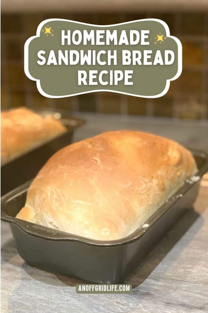 A loaf of sandwich bread in a pan.