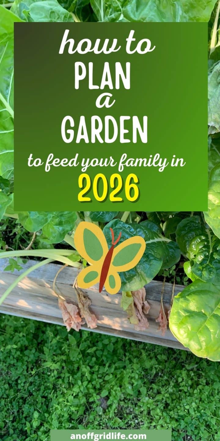 Green leafy vegetable plants growing in a garden bed with a graphic overlay reading "how to plan a garden in 2026 to feed your family" and a butterfly illustration.
