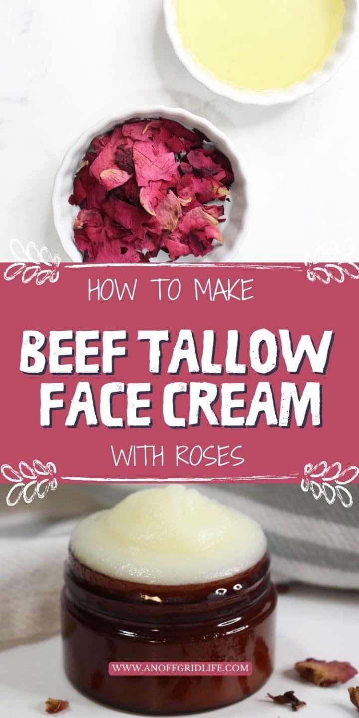 A small bowl of rose petals, a bowl of oil, and an open jar of homemade beef tallow face cream are shown, with text: "How to Make Beef Tallow Face Cream with Roses.