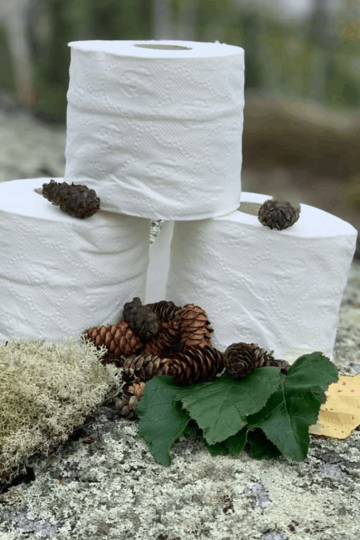 three rolls of toilet paper on a rock with pinecones, outdoors.