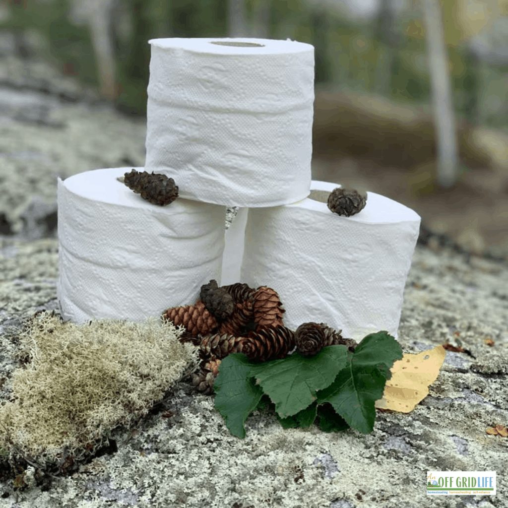 three rolls of toilet paper on a rock with pinecones, outdoors.