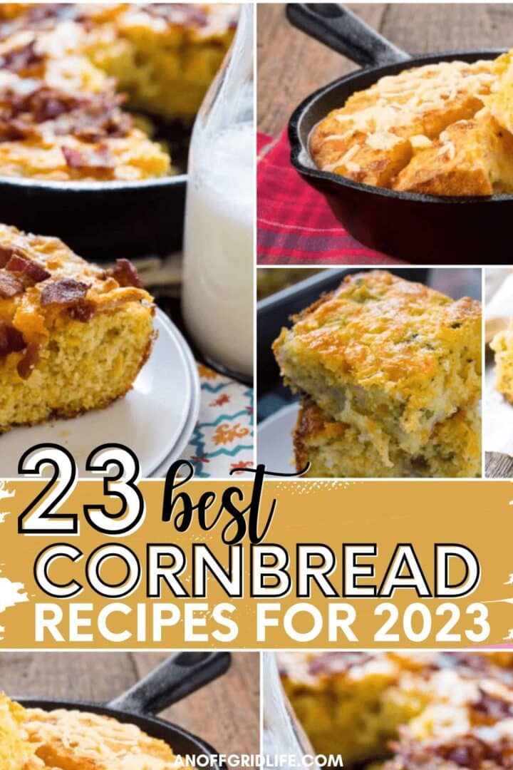 23 best cornbread recipes for 2023.