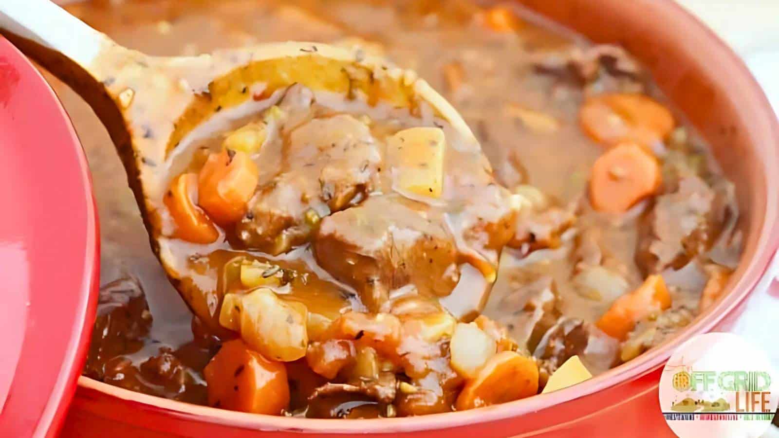A ladle scoops hearty beef stew with carrots, potatoes, and herbs from a red pot.